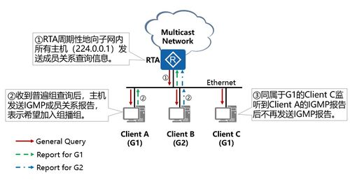 ip组播基础 二 igmp协议各版本工作原理与基础配置 igmp snooping工作原理